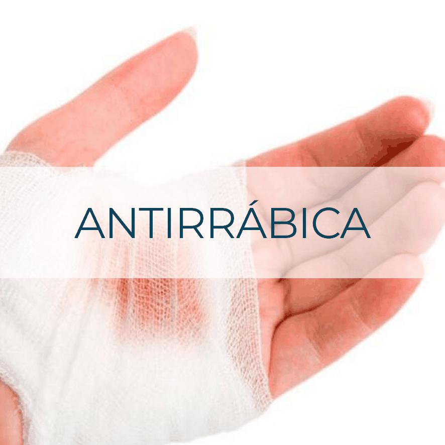 Vacuna Antirrábica