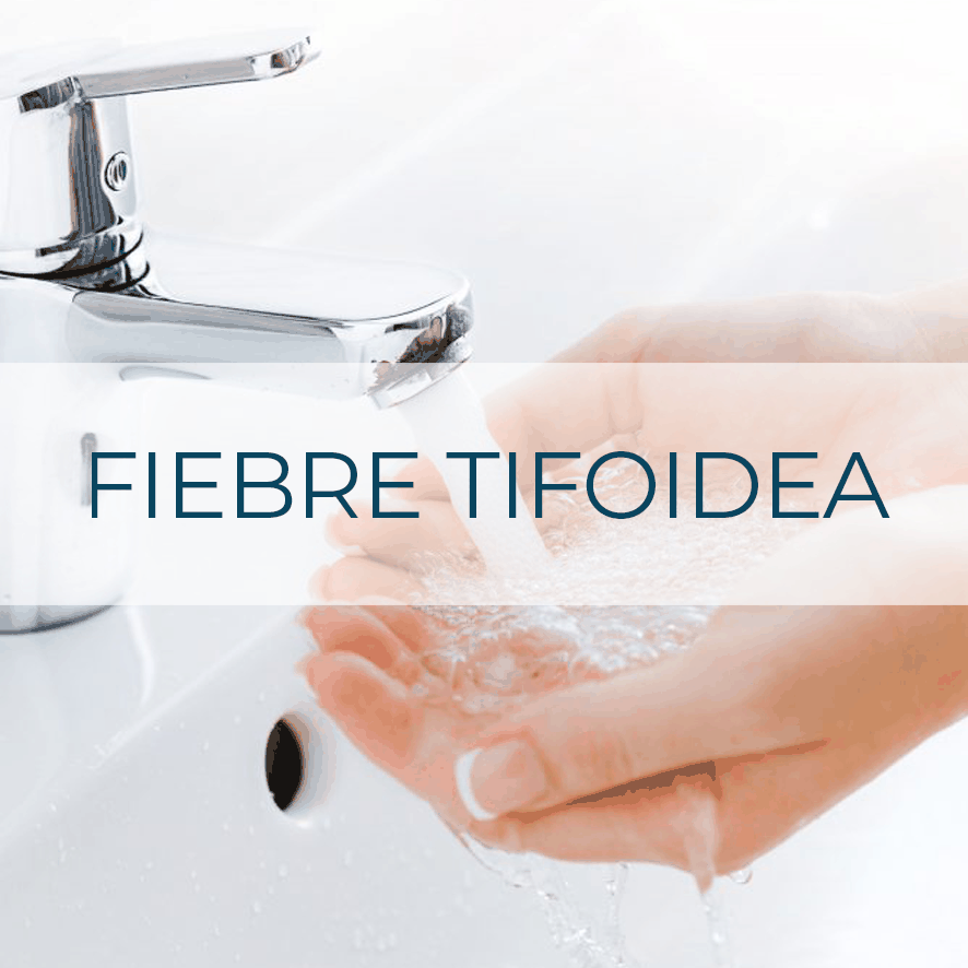 Vacuna Fiebre Tifoidea