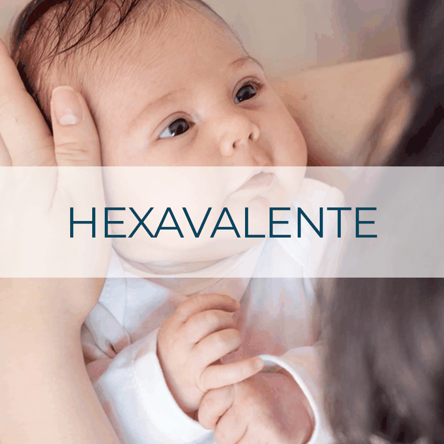 Vacuna Hexavalente