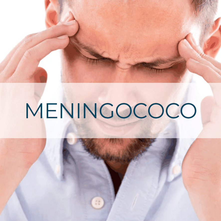 Vacuna Meningococo