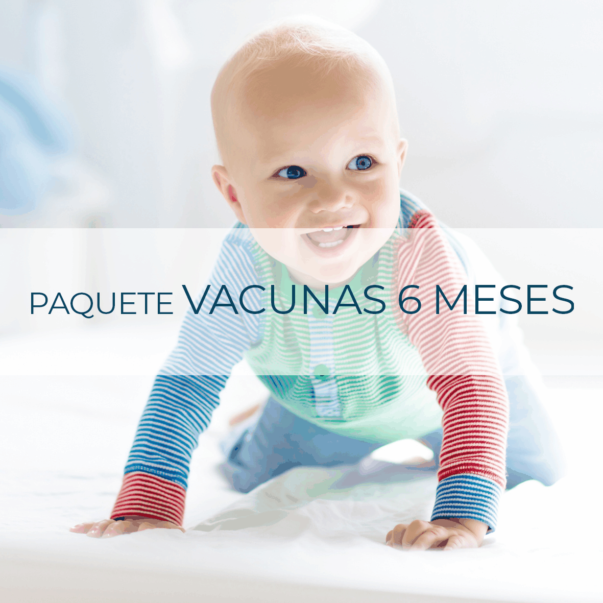 Paquete Vacunas 6 Meses