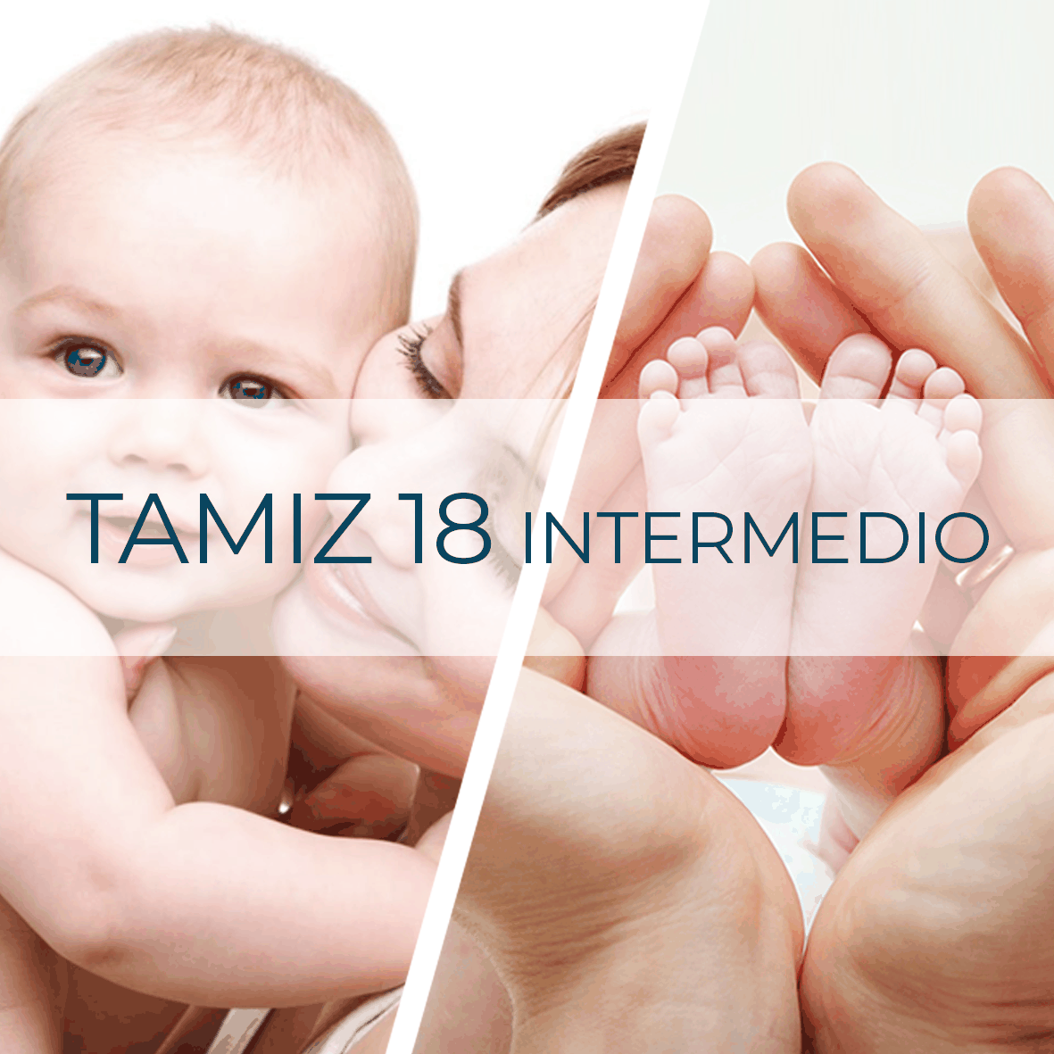 Tamiz 18 Intermedio
